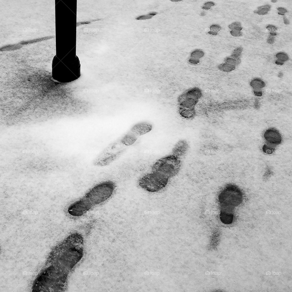 Tracks in snow.