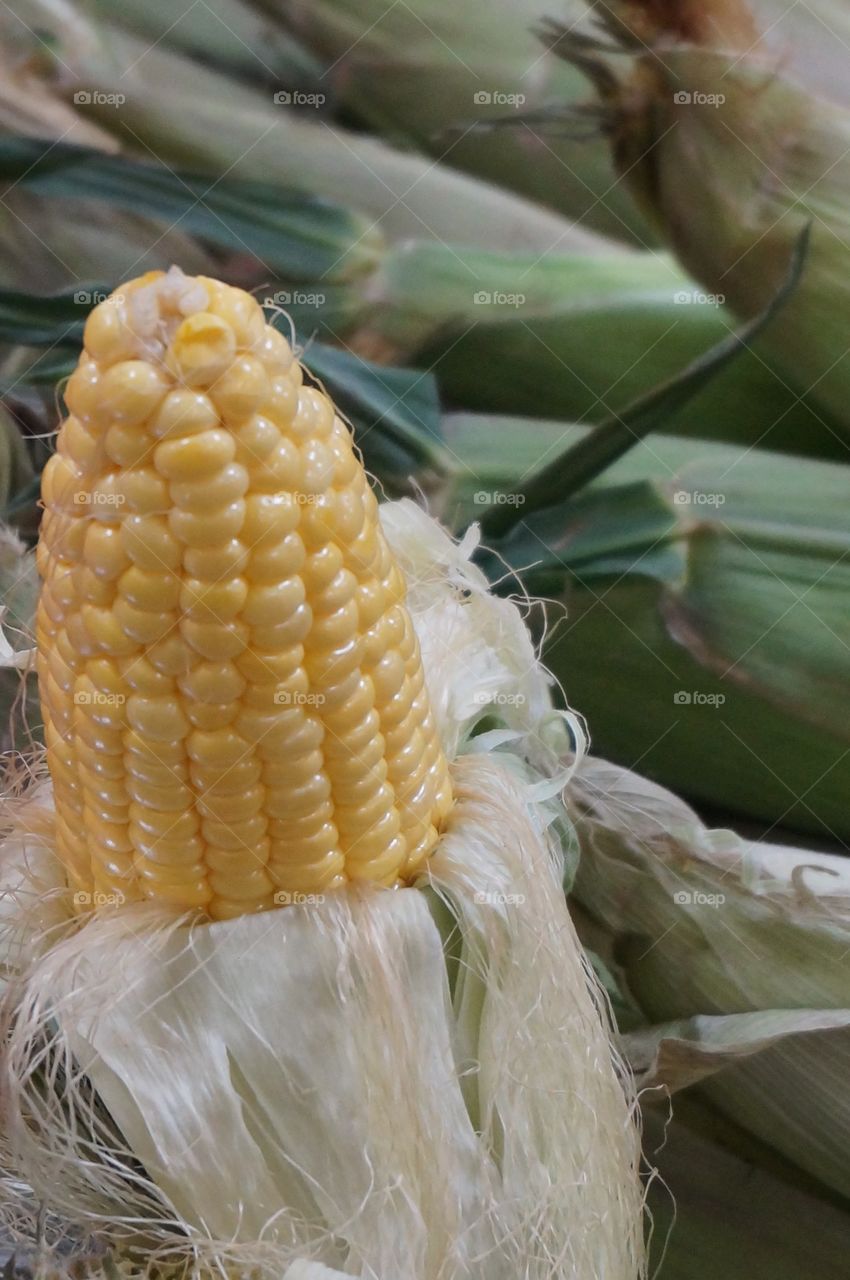 Yellow corn on the cob