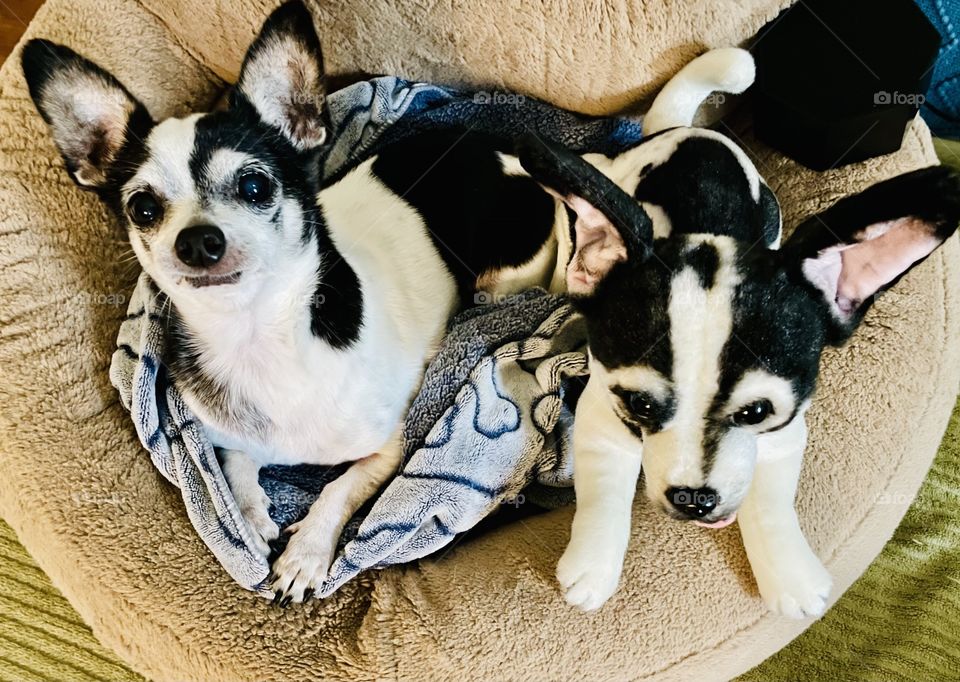 Two is better than one 