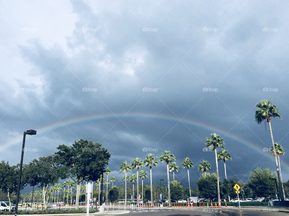Florida rainbow after the storm 