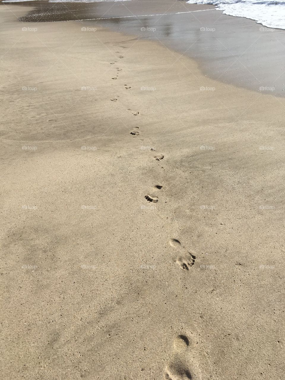 Footprints in the sand.