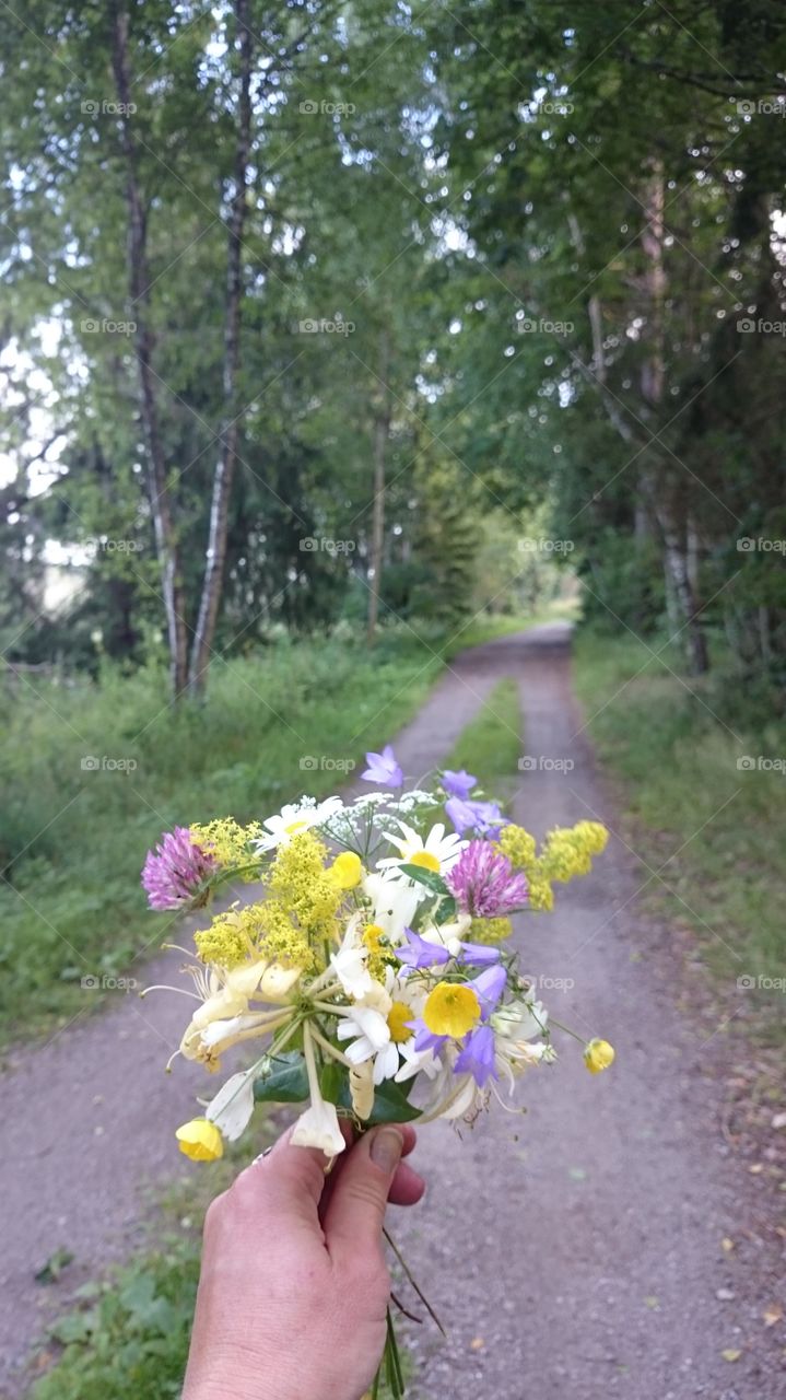 Picking flowers 