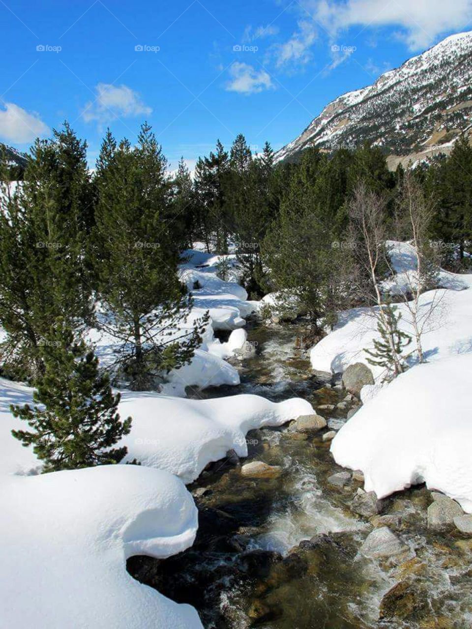 frío día al lado de un rio
