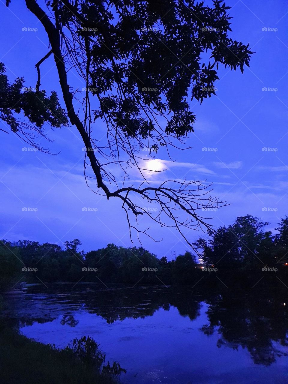 Evening Lake