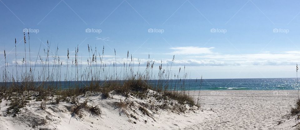 Pensacola beach 