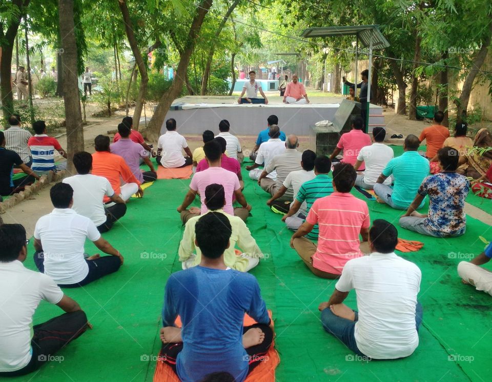 yoga, 21jun world yoga day, yoga in park, dhyan mudra , indian meditation,