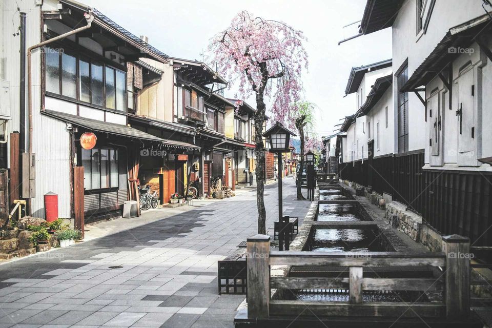 Street, Architecture, No Person, House, Building