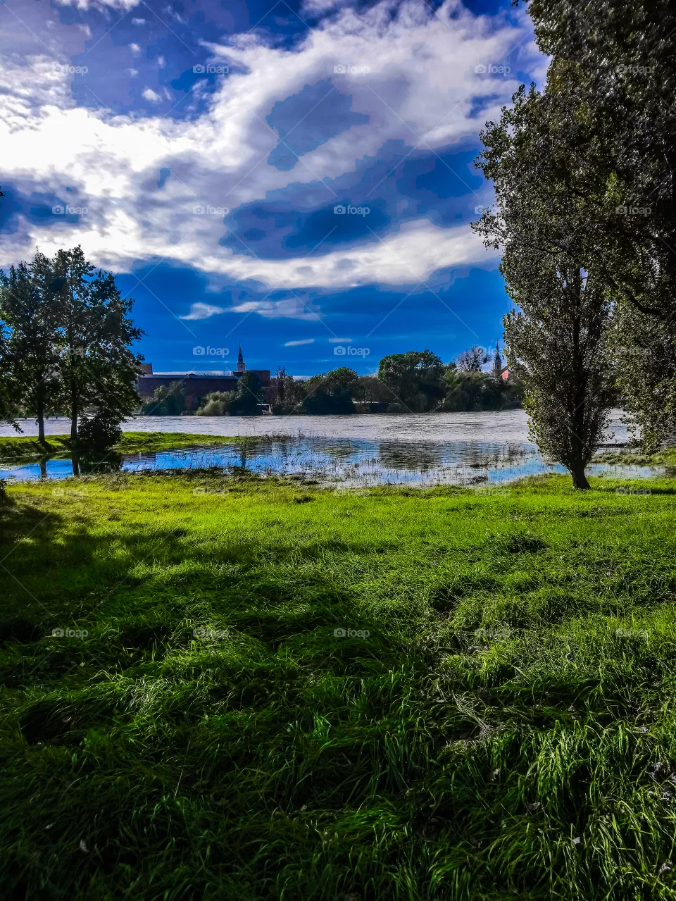 Odra