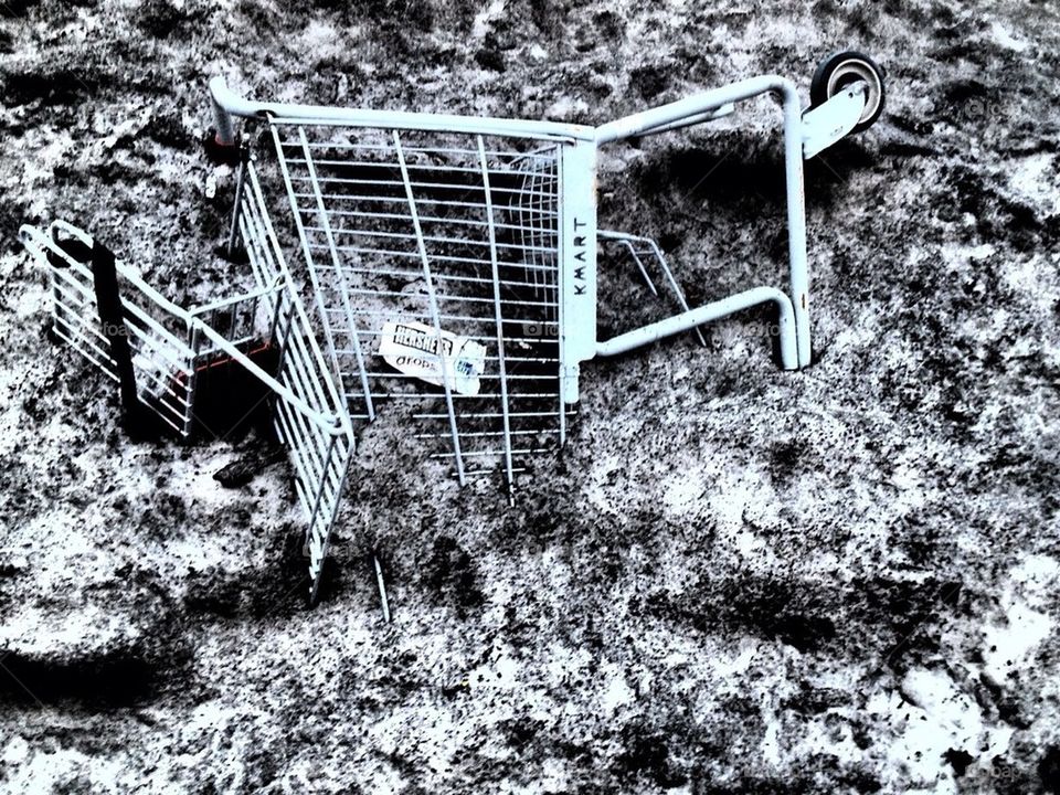 Frozen shopping cart