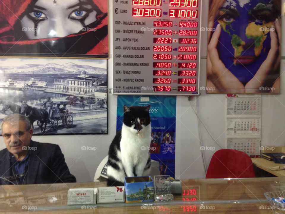 Cat the owner of the shop :P