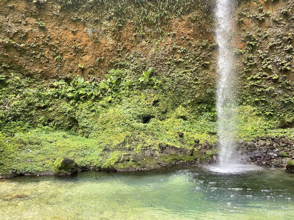 A waterfall cascading into a green pool