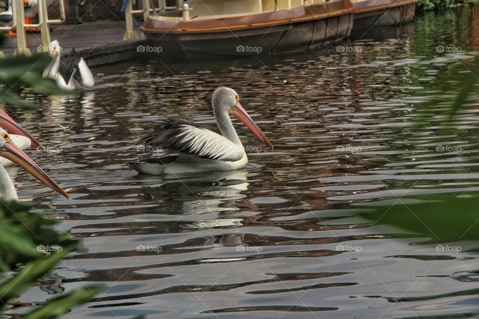 water reflection