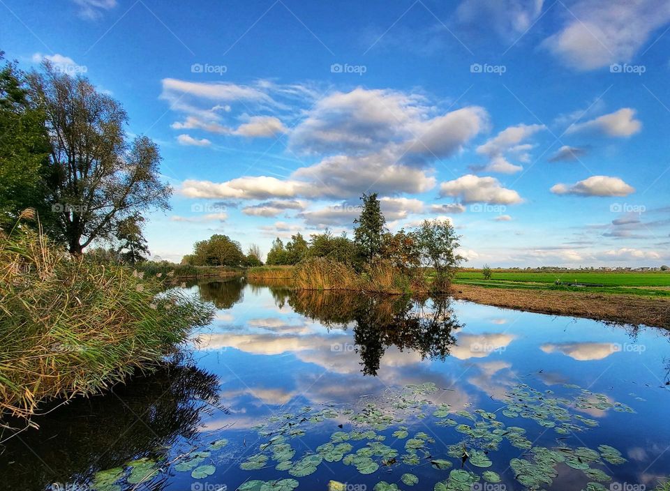 landscape in the Netherlands