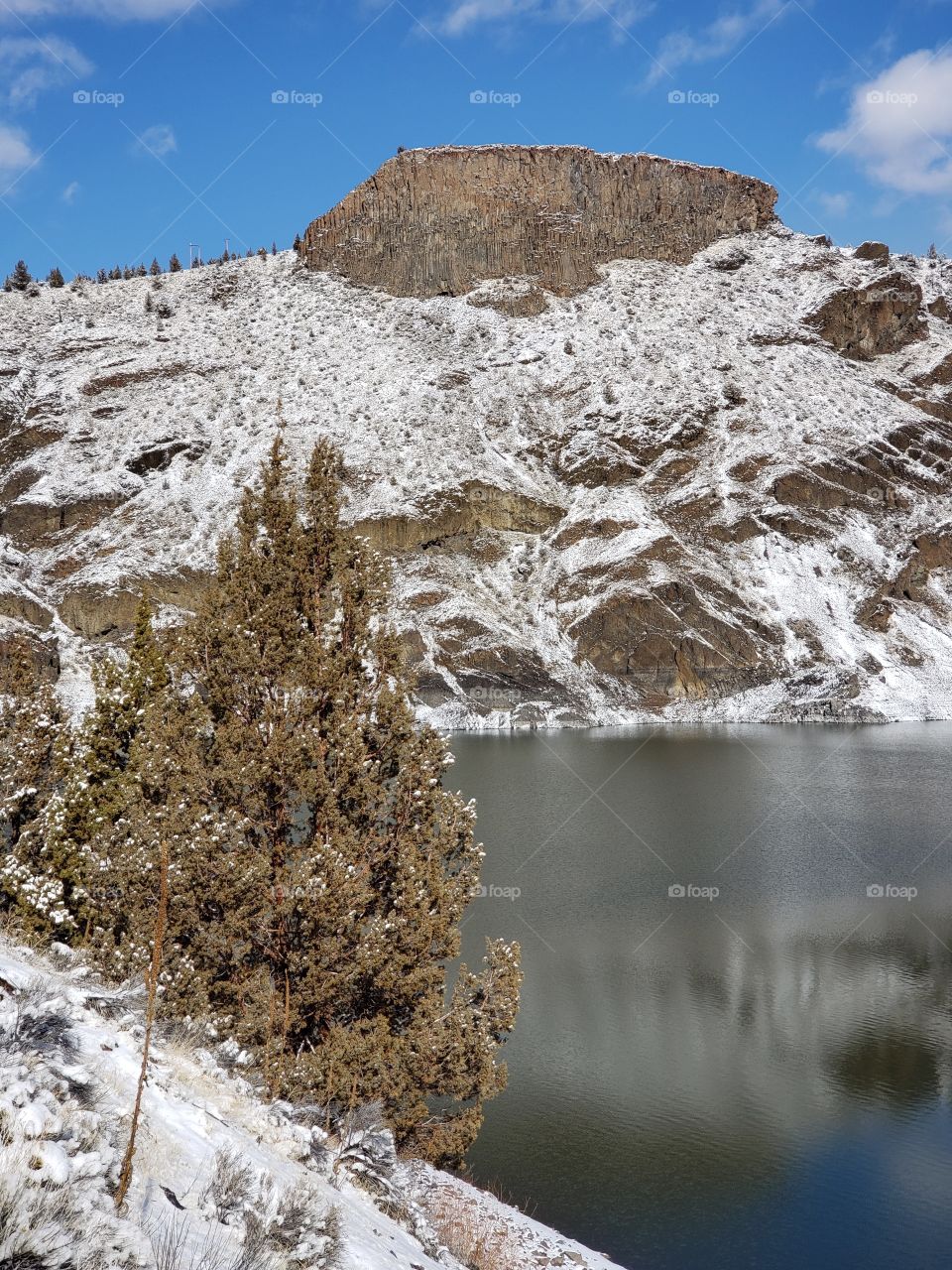 A lone juniper tree in the foreground of an basalt outcropping on a hill with a fresh layer of snow overlooking a partially ice covered Prineville Reservoir on a winter day with blue skies. 