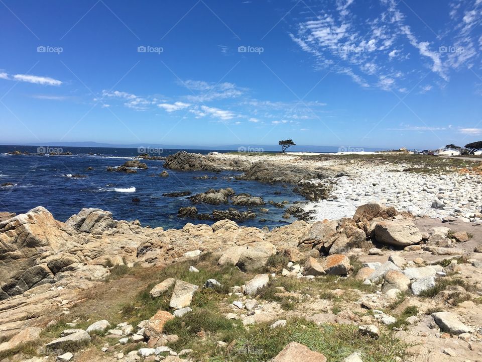 Awesome beaches.  San Francisco 