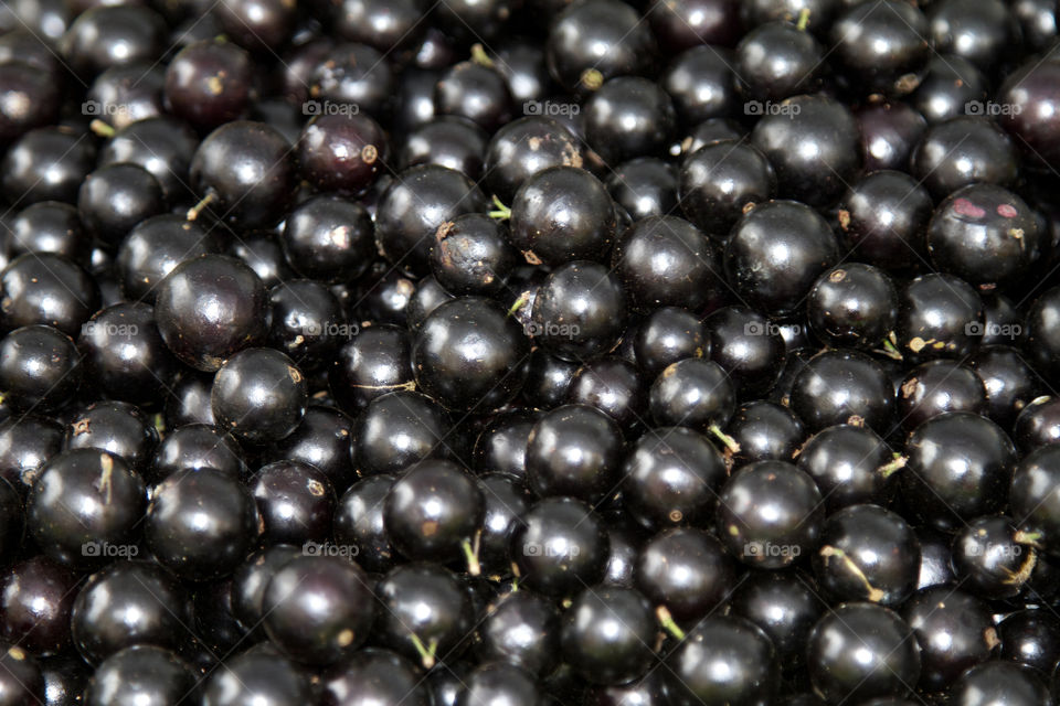 jabuticaba