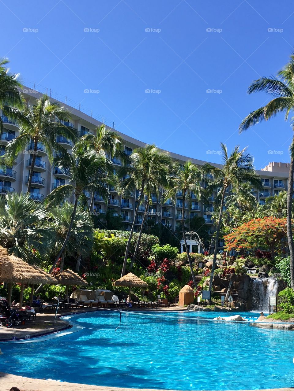 An inviting, tranquil, peaceful, colorful, tropical hotel pool at the Westin hotel in Maui, Hawaii. 