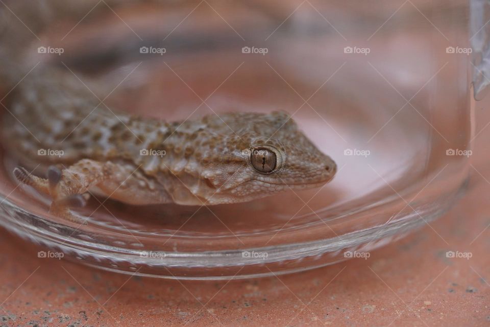 Let me help you find the door 