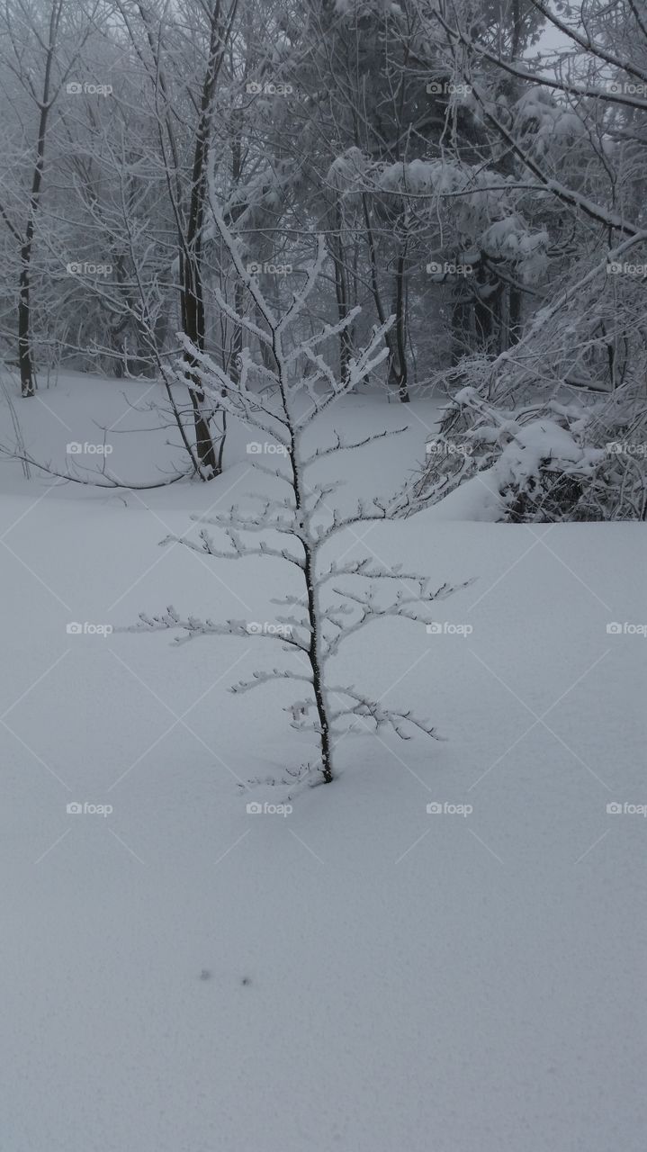 black and white . our climb was 1000 steps from the snow but it was just an uphill