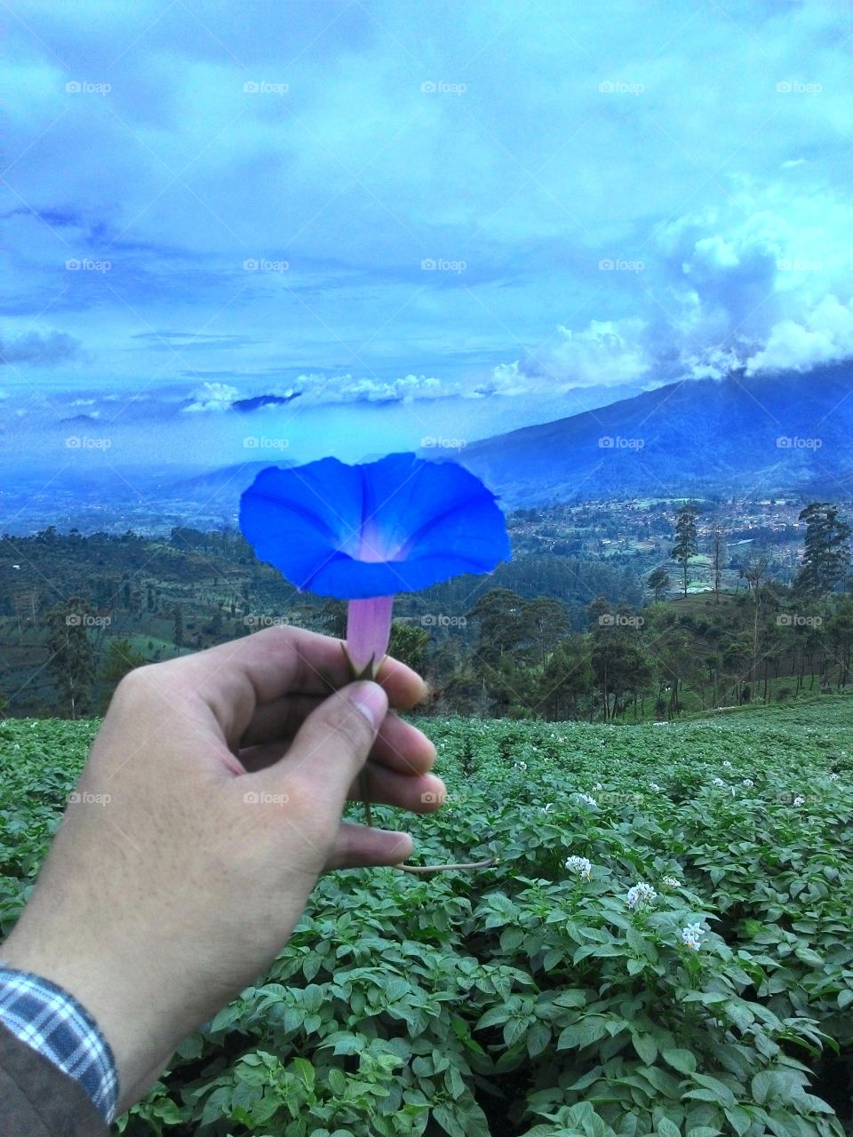 Nature, Outdoors, Summer, Growth, No Person