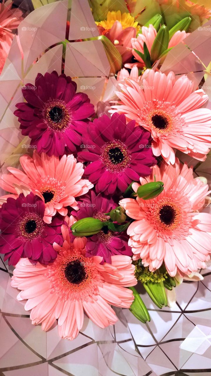 a bouquet of maroon and pink Gerber daisies surrounded by Peruvian lilies and green foliage