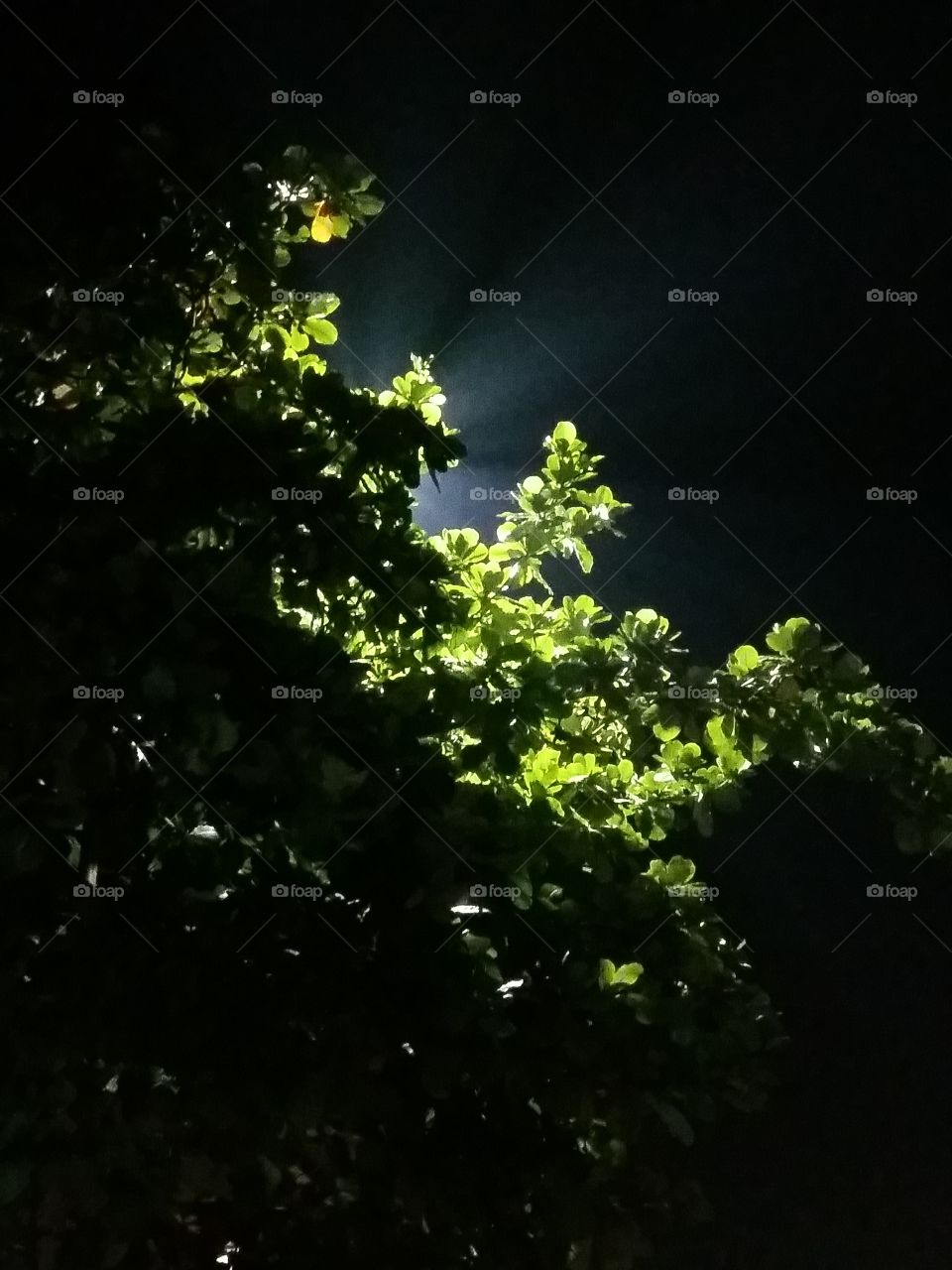 There is always a solution for the problem. Patience is the key.