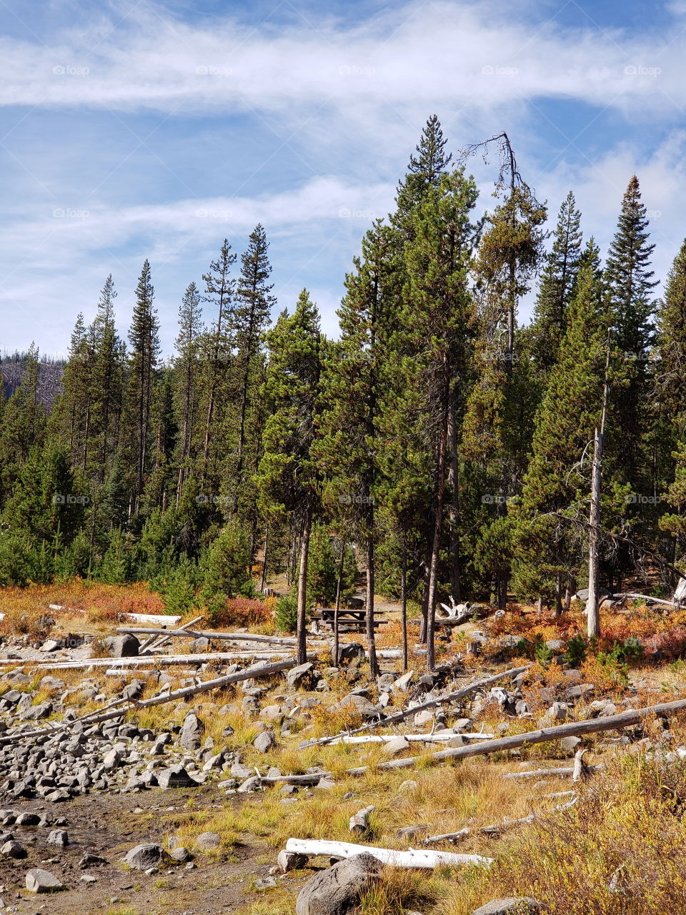 Brilliant fall colors of a landscape on the shores of Elk Lake in Oregon’s Cascade Mountains