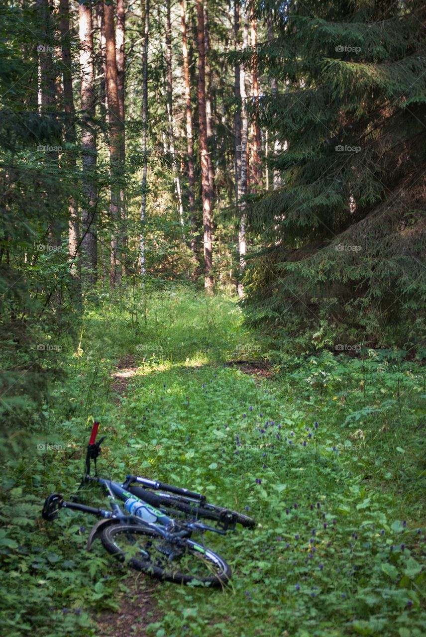 Off-road ready . Russian forest biking 