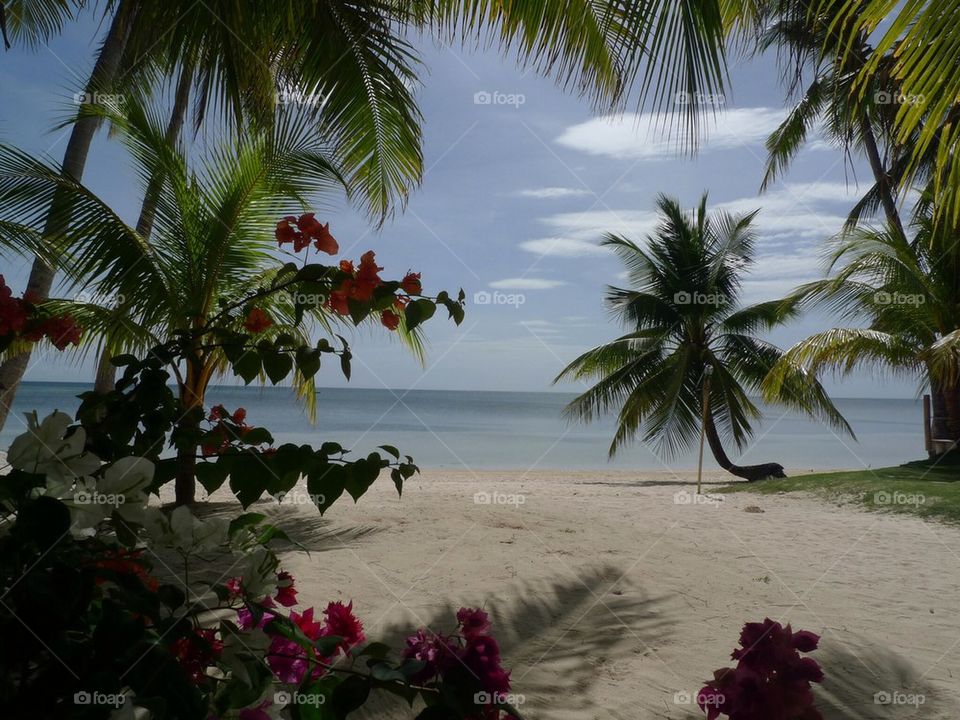 Flowers at the beach