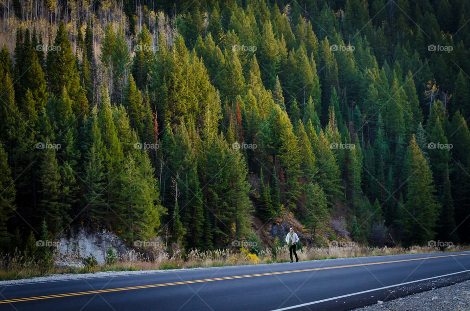 Person walking on road along trees