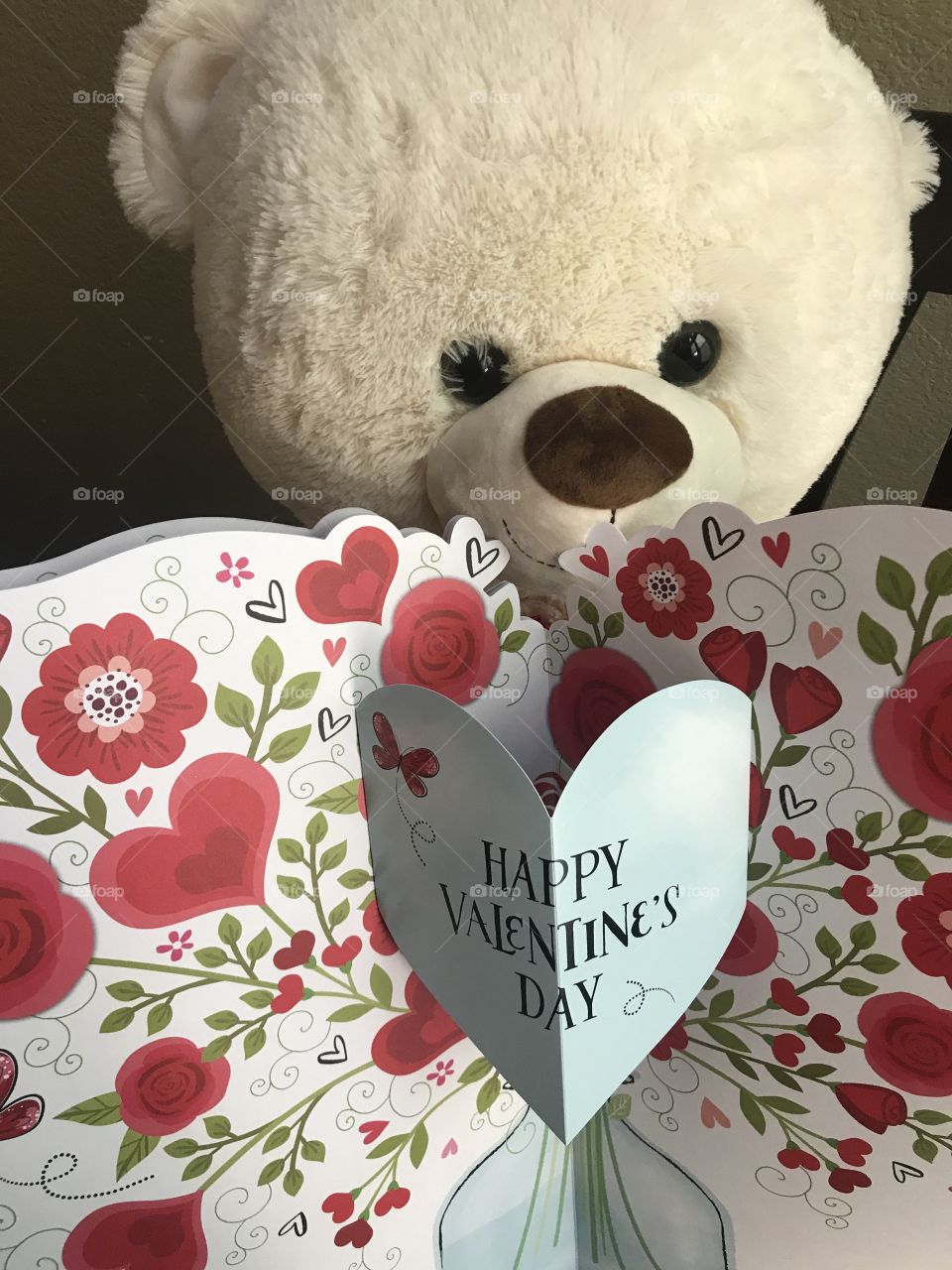 A Valentines bear holding a happy Valentine’s Day card with flowers and hearts in celebration of Valentine’s Day, USA, America