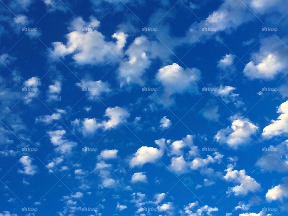 Looking at the Clouds . Beautiful white clouds against a clear blue sky.