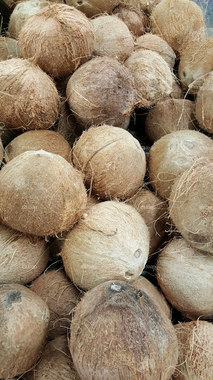 coconuts on retail display