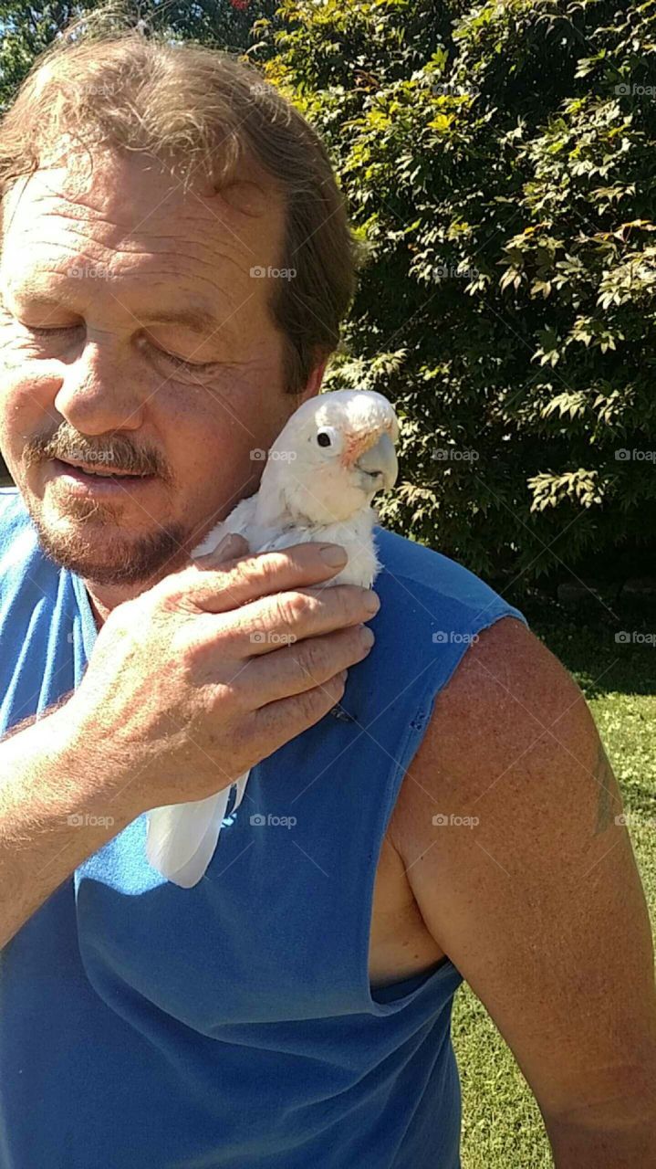 Goffin Cockatoo Hugging Caretaker