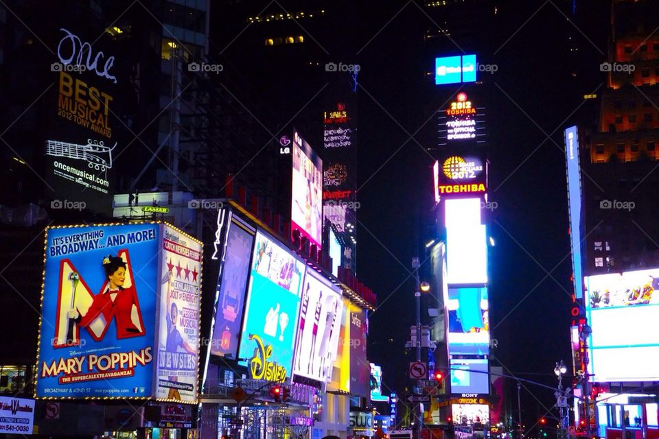 NEW YORK CITY TIMES SQUARE THE SHOWS