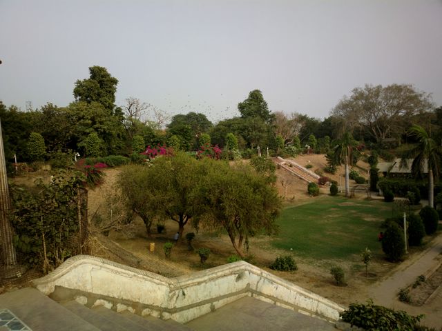 garden in my city