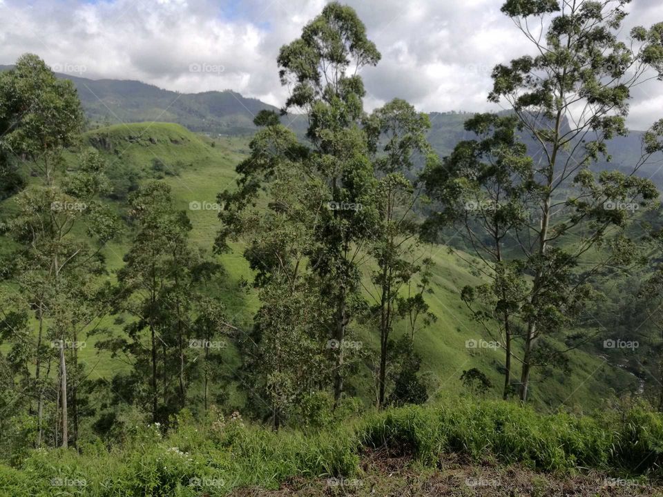 Nuwara Eliya Sri Lanka