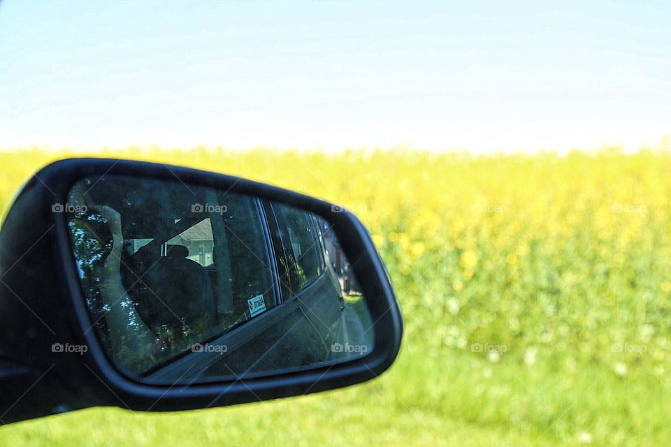 On the road in the yellow landscape