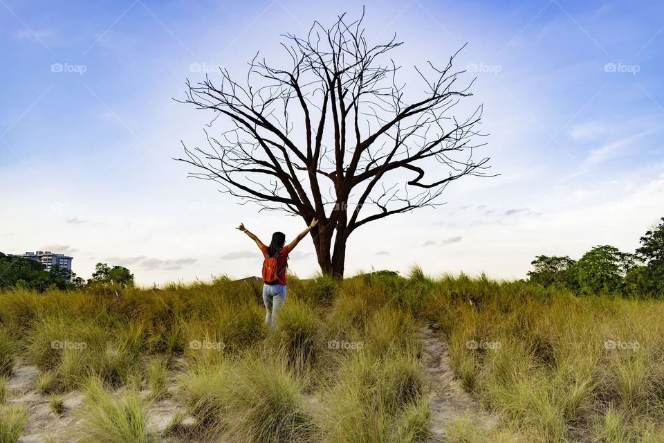 Beautiful steel tree at the park. it is surrounded by long grass. Blue sky in the background.