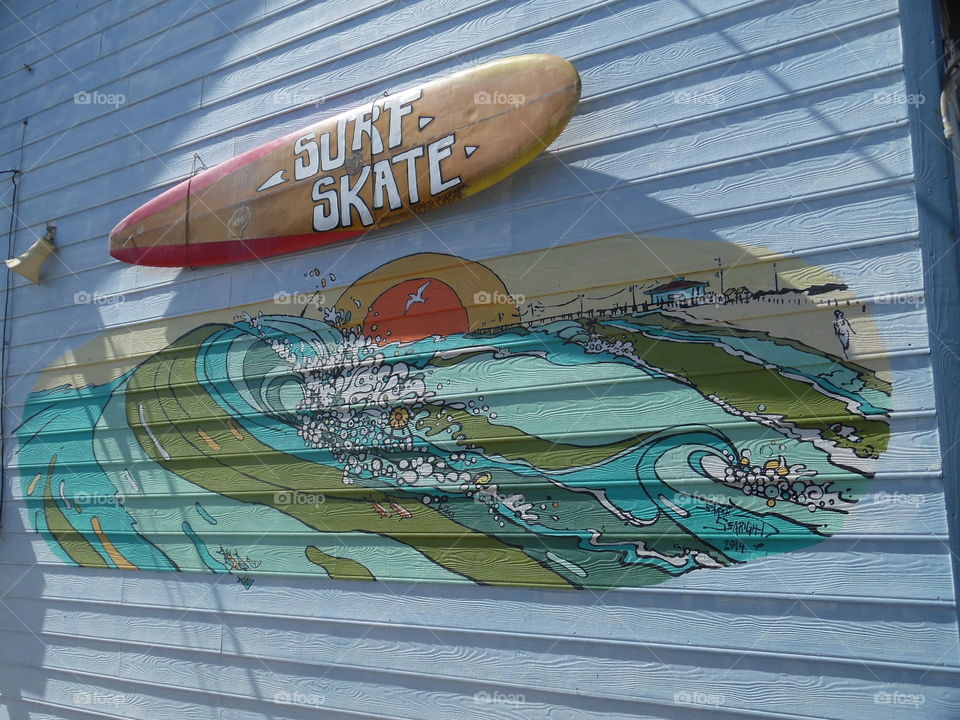 snake 🐍 skate. This is a vacation photo 📷 that I took while visiting the Gulf of Mexico near port Aransas Texas. 👣 🚶 🏃 🔥 💨