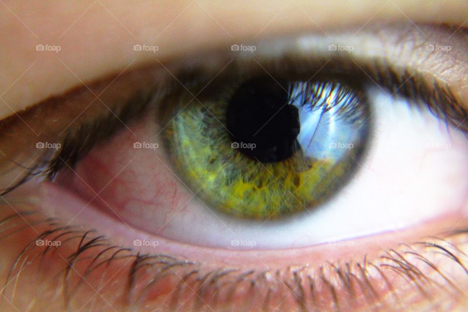 Green eye