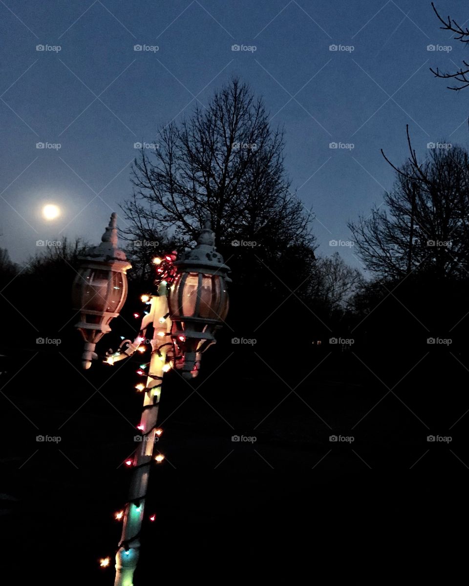 The moon rising above the trees. Lamppost with Christmas lights