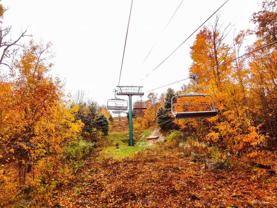 Foliage and Ski Lift