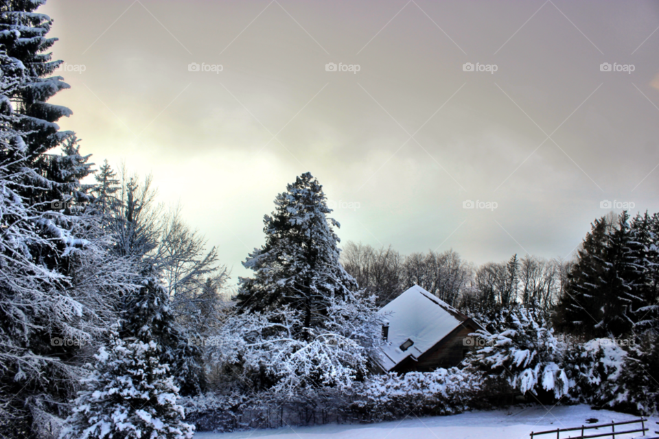 narnia snow winter landscape by Elina