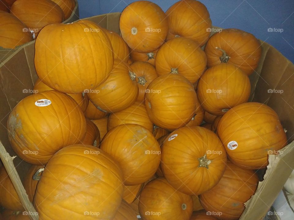 Pile of Pumpkins