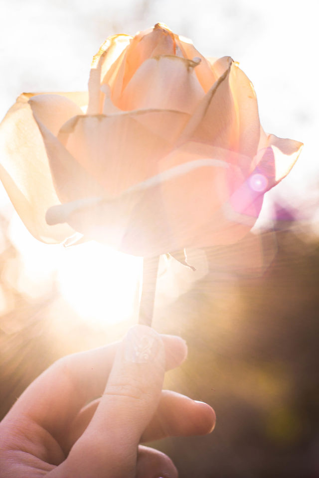 Flower Lighter