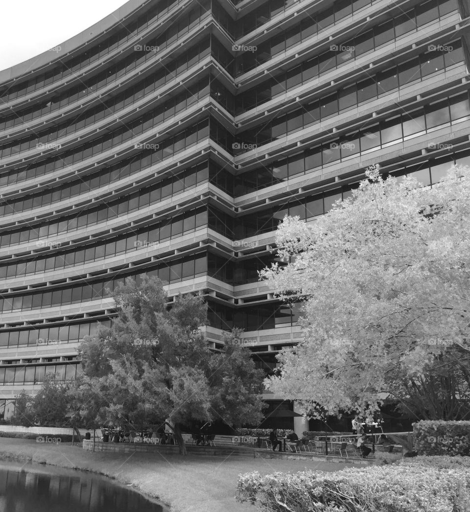 Curved Office Building . Curved office building in Tampa FL