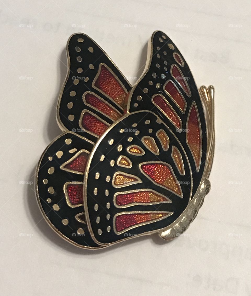 Butterfly, jewelry,pin,brooch,