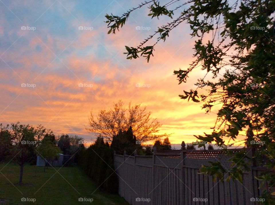 Sunset in the backyard 
