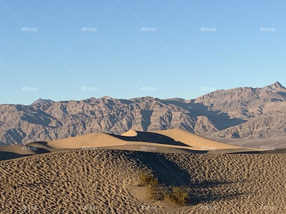 Desert 
